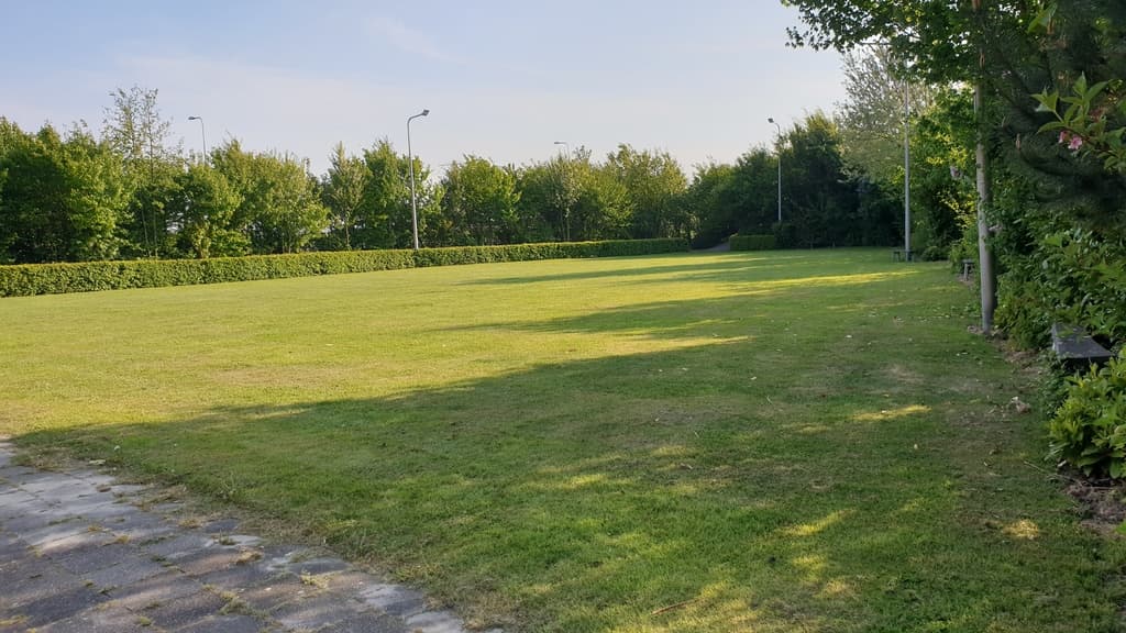 Image 12 of 16